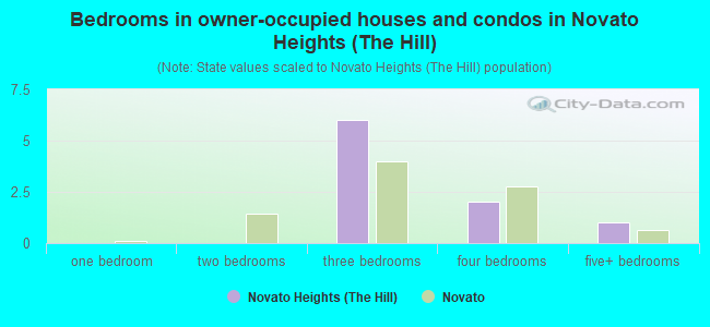Bedrooms in owner-occupied houses and condos in Novato Heights (The Hill)
