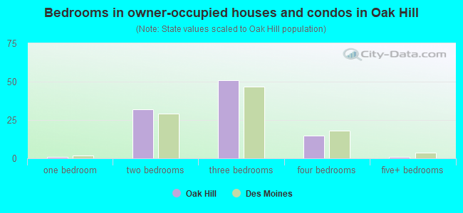 Bedrooms in owner-occupied houses and condos in Oak Hill