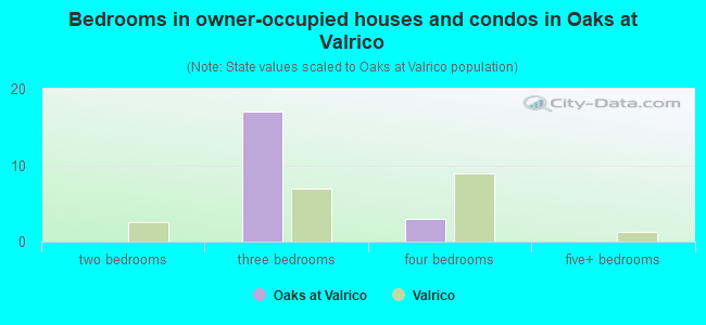 Bedrooms in owner-occupied houses and condos in Oaks at Valrico