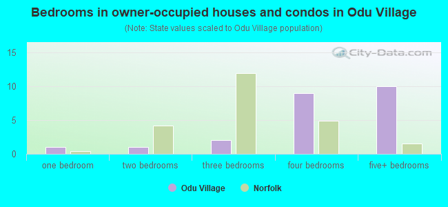 Bedrooms in owner-occupied houses and condos in Odu Village