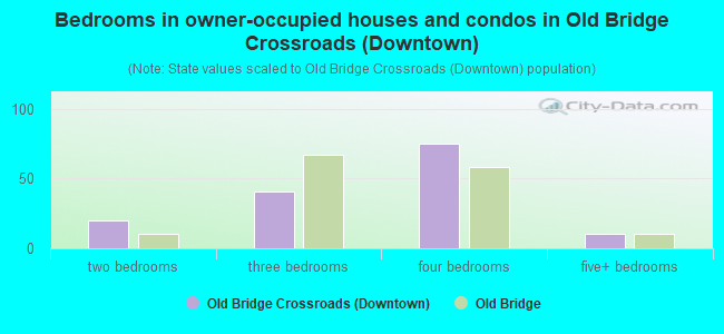 Bedrooms in owner-occupied houses and condos in Old Bridge Crossroads (Downtown)
