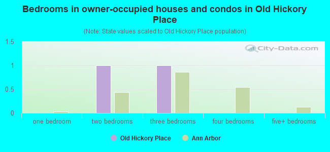 Bedrooms in owner-occupied houses and condos in Old Hickory Place