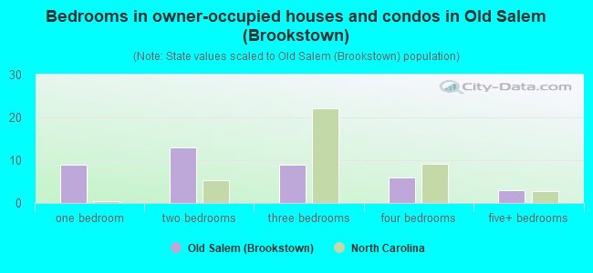 Bedrooms in owner-occupied houses and condos in Old Salem (Brookstown)