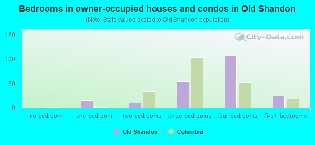 Bedrooms in owner-occupied houses and condos in Old Shandon