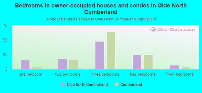 Bedrooms in owner-occupied houses and condos in Olde North Cumberland
