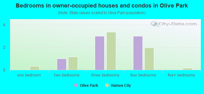 Bedrooms in owner-occupied houses and condos in Olive Park