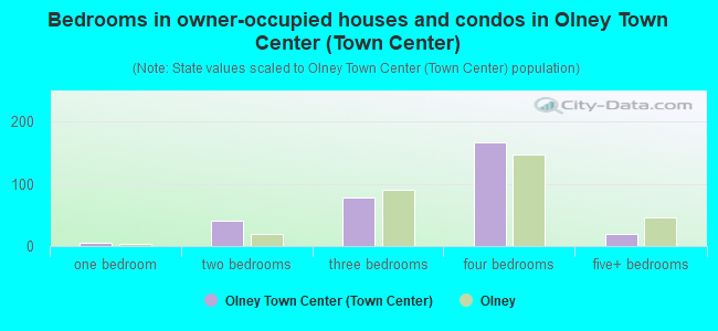 Bedrooms in owner-occupied houses and condos in Olney Town Center (Town Center)