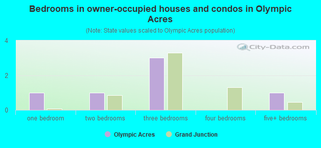 Bedrooms in owner-occupied houses and condos in Olympic Acres