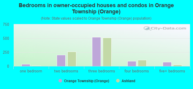 Bedrooms in owner-occupied houses and condos in Orange Township (Orange)