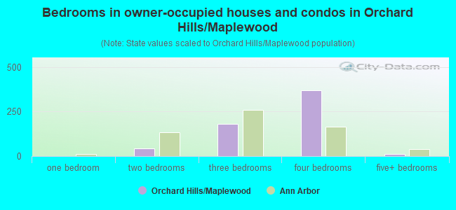 Bedrooms in owner-occupied houses and condos in Orchard Hills/Maplewood