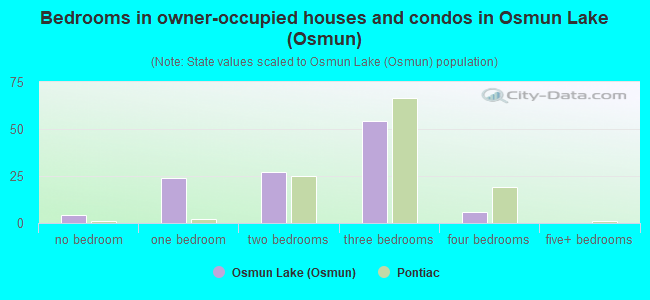 Bedrooms in owner-occupied houses and condos in Osmun Lake (Osmun)