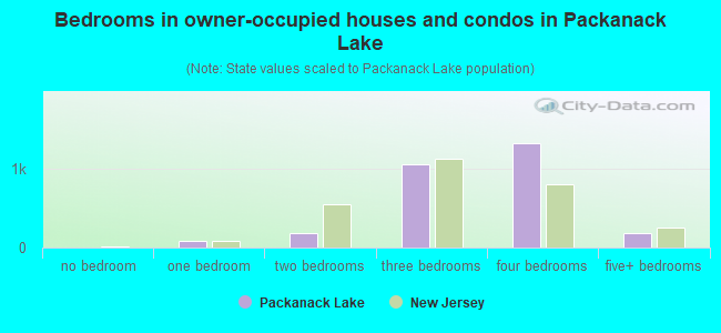 Bedrooms in owner-occupied houses and condos in Packanack Lake