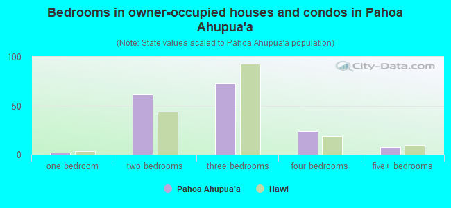Bedrooms in owner-occupied houses and condos in Pahoa Ahupua`a