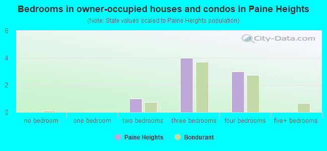 Bedrooms in owner-occupied houses and condos in Paine Heights