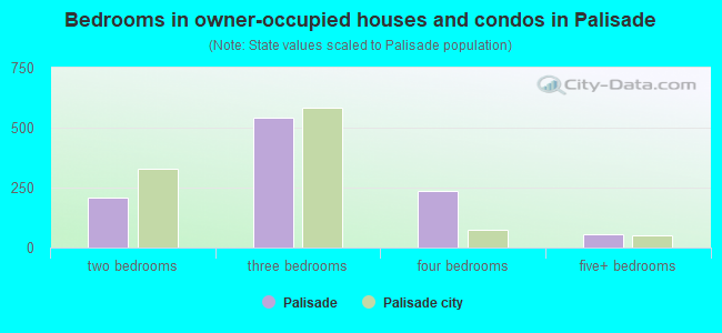 Bedrooms in owner-occupied houses and condos in Palisade