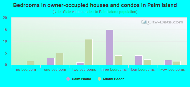 Bedrooms in owner-occupied houses and condos in Palm Island