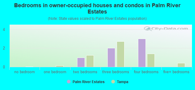 Bedrooms in owner-occupied houses and condos in Palm River Estates