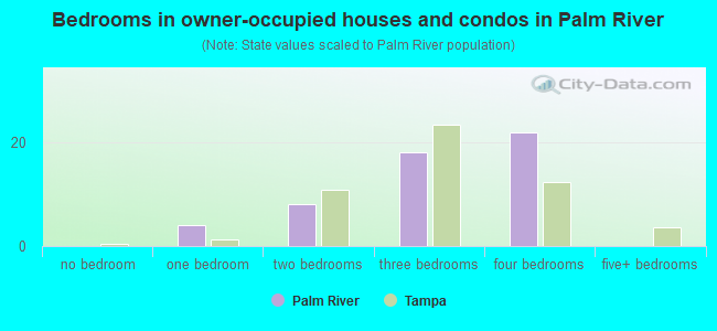 Bedrooms in owner-occupied houses and condos in Palm River