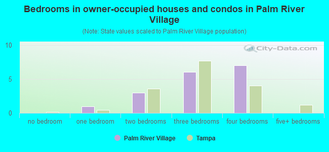 Bedrooms in owner-occupied houses and condos in Palm River Village