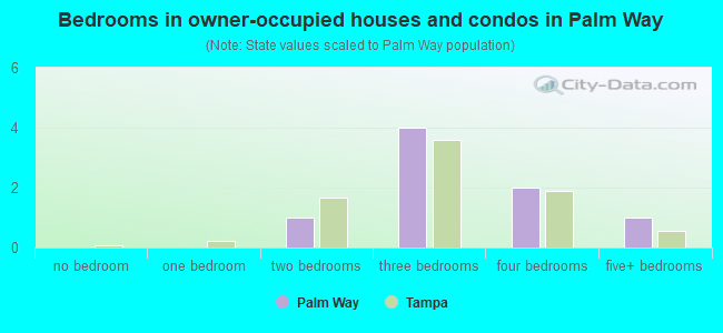 Bedrooms in owner-occupied houses and condos in Palm Way