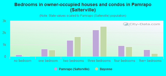 Bedrooms in owner-occupied houses and condos in Pamrapo (Salterville)