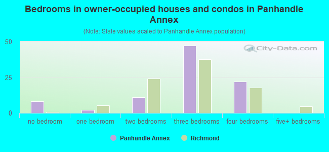 Bedrooms in owner-occupied houses and condos in Panhandle Annex