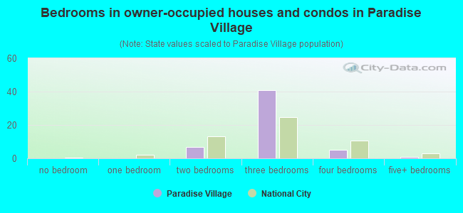 Bedrooms in owner-occupied houses and condos in Paradise Village