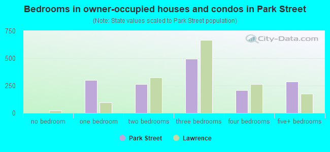 Bedrooms in owner-occupied houses and condos in Park Street