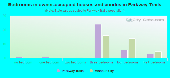 Bedrooms in owner-occupied houses and condos in Parkway Trails
