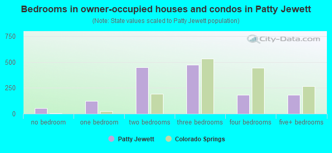 Bedrooms in owner-occupied houses and condos in Patty Jewett