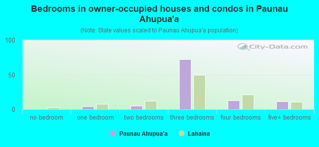 Bedrooms in owner-occupied houses and condos in Paunau Ahupua`a