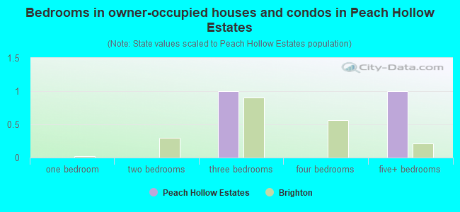 Bedrooms in owner-occupied houses and condos in Peach Hollow Estates