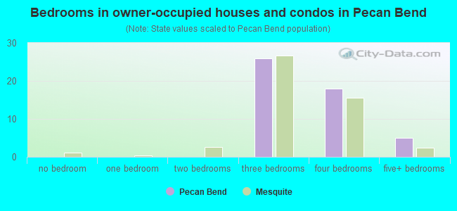 Bedrooms in owner-occupied houses and condos in Pecan Bend