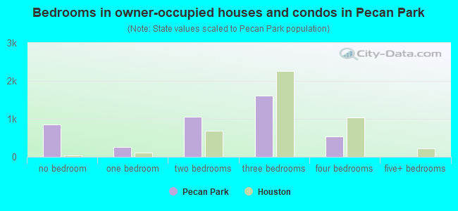 Bedrooms in owner-occupied houses and condos in Pecan Park