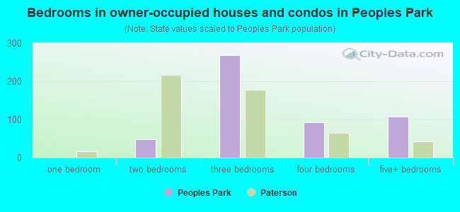 Bedrooms in owner-occupied houses and condos in Peoples Park