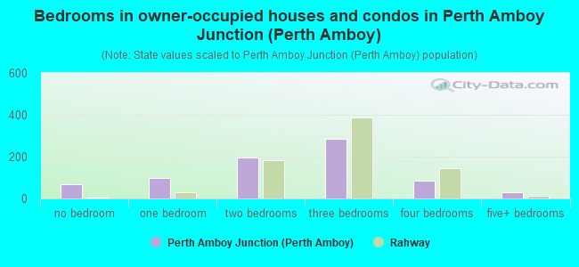 Bedrooms in owner-occupied houses and condos in Perth Amboy Junction (Perth Amboy)
