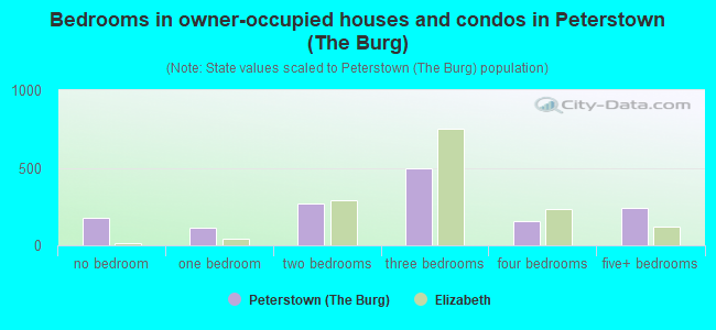Bedrooms in owner-occupied houses and condos in Peterstown (The Burg)
