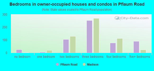 Bedrooms in owner-occupied houses and condos in Pflaum Road