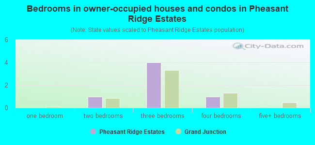 Bedrooms in owner-occupied houses and condos in Pheasant Ridge Estates