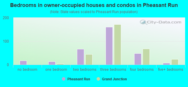 Bedrooms in owner-occupied houses and condos in Pheasant Run
