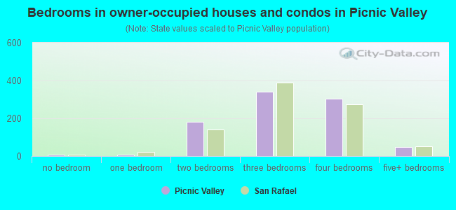 Bedrooms in owner-occupied houses and condos in Picnic Valley