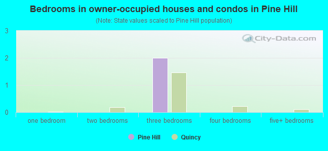 Bedrooms in owner-occupied houses and condos in Pine Hill