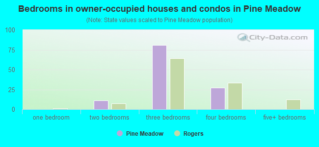 Bedrooms in owner-occupied houses and condos in Pine Meadow