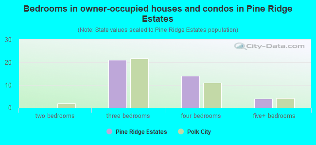 Bedrooms in owner-occupied houses and condos in Pine Ridge Estates