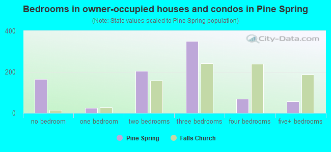 Bedrooms in owner-occupied houses and condos in Pine Spring