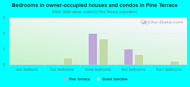 Bedrooms in owner-occupied houses and condos in Pine Terrace