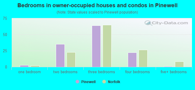 Bedrooms in owner-occupied houses and condos in Pinewell