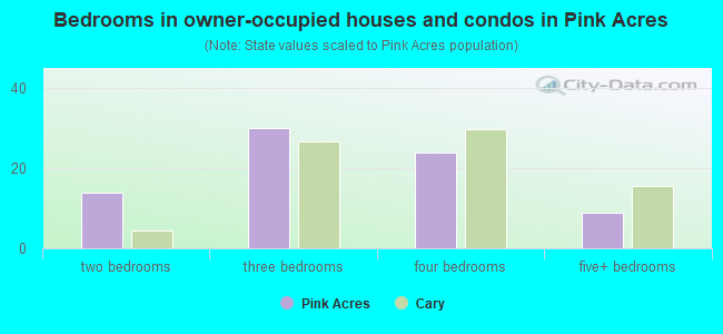 Bedrooms in owner-occupied houses and condos in Pink Acres