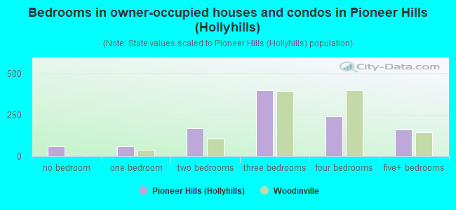 Bedrooms in owner-occupied houses and condos in Pioneer Hills (Hollyhills)