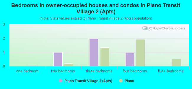 Bedrooms in owner-occupied houses and condos in Plano Transit Village 2 (Apts)